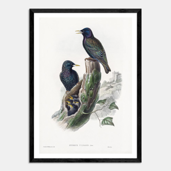Original Artwork 6 - Image 5