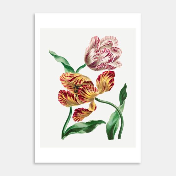 Art Print Eight