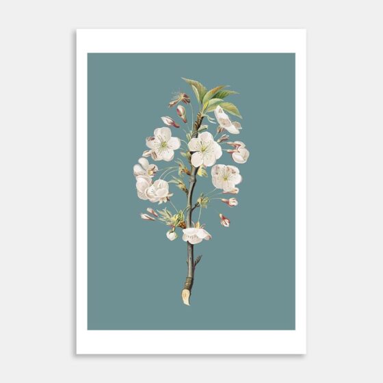 Art Print Seven
